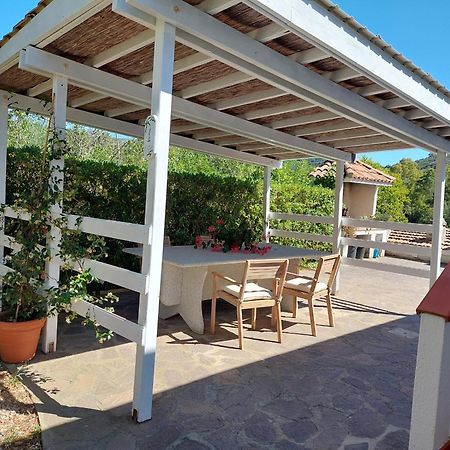 B&B La Casa Degli Ulivi 프로키오 외부 사진