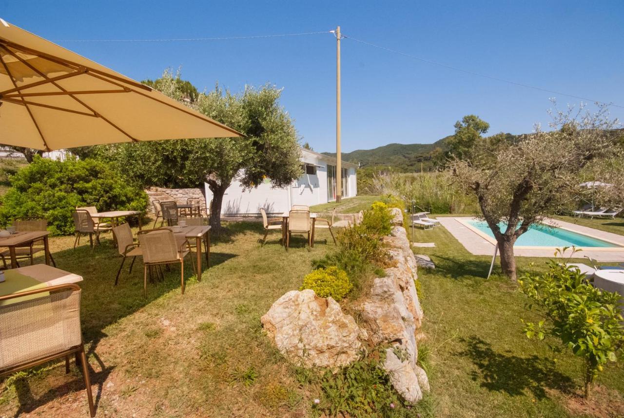 B&B La Casa Degli Ulivi 프로키오 외부 사진