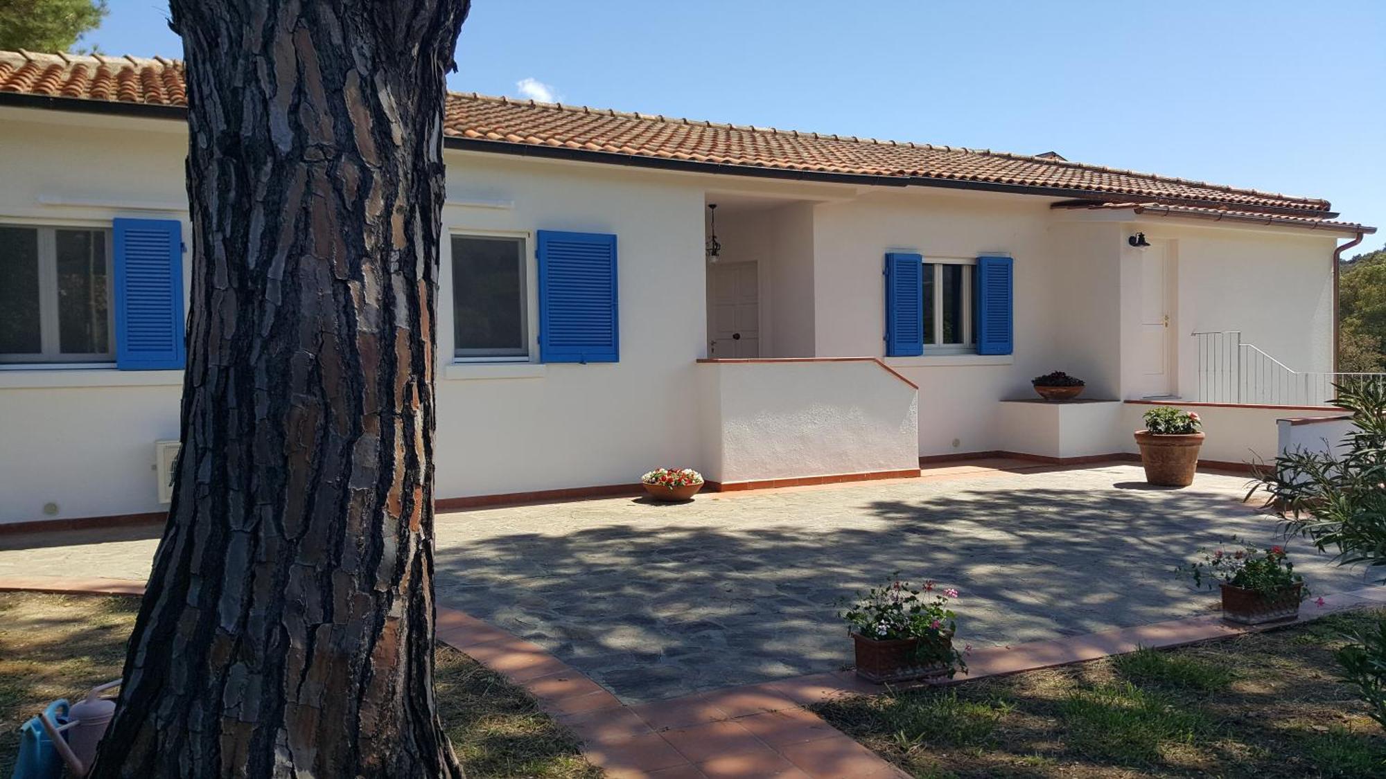 B&B La Casa Degli Ulivi 프로키오 외부 사진