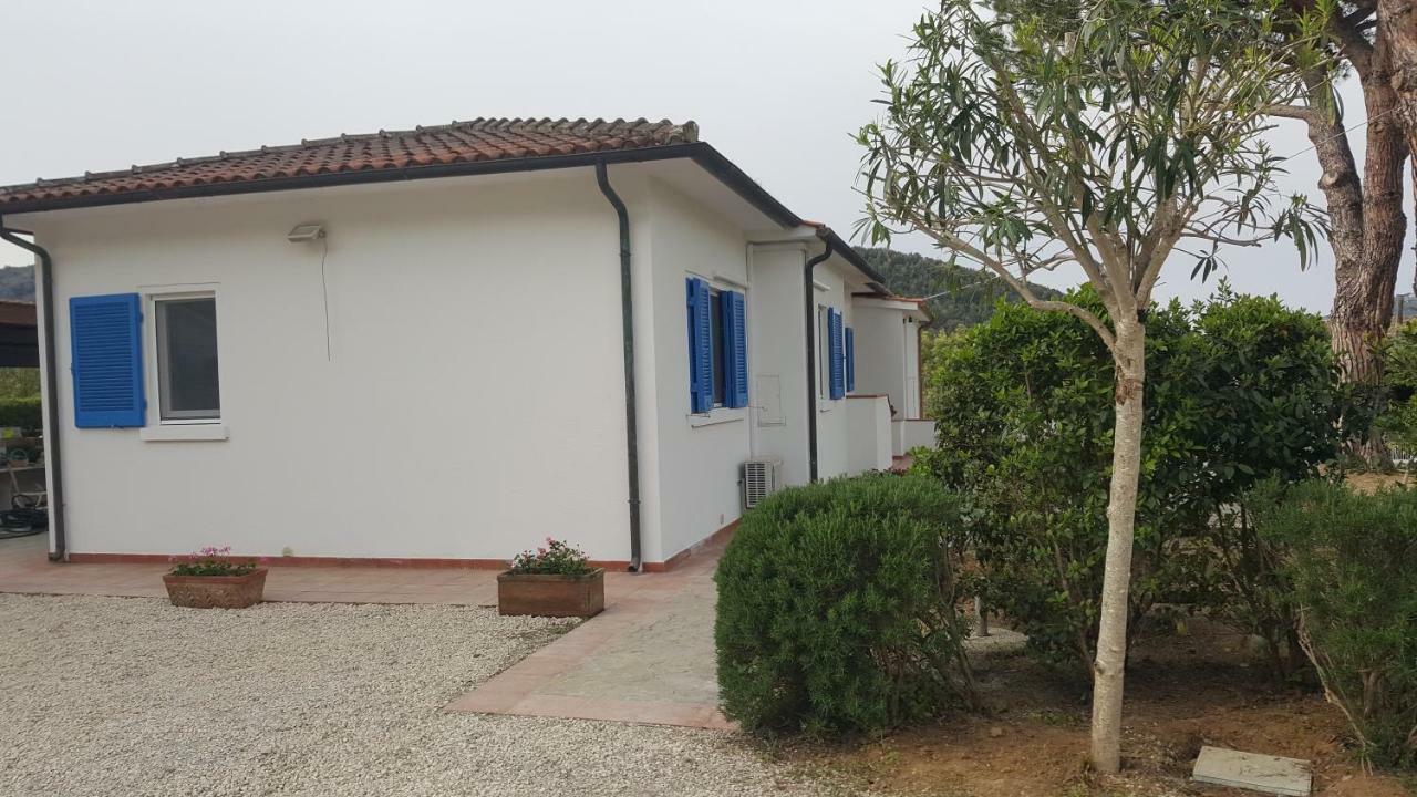 B&B La Casa Degli Ulivi 프로키오 외부 사진