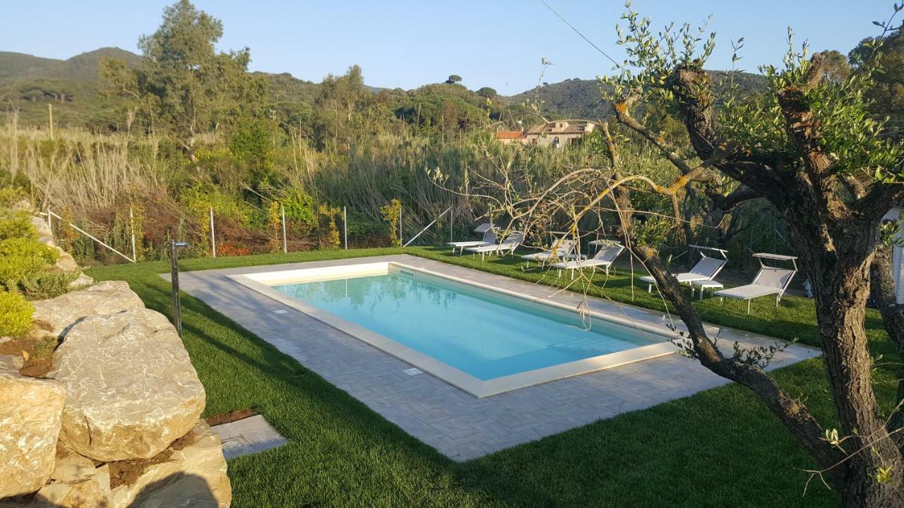 B&B La Casa Degli Ulivi 프로키오 외부 사진