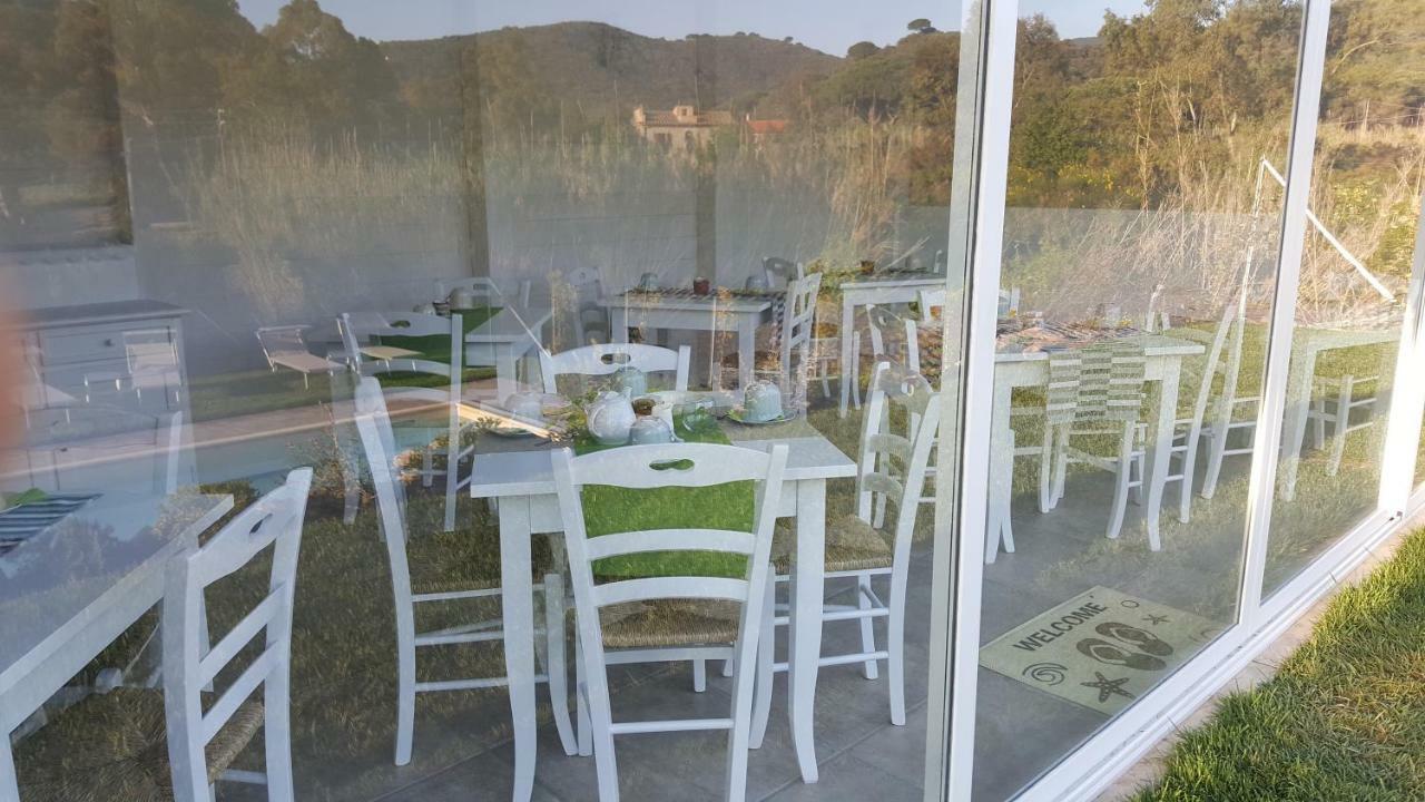 B&B La Casa Degli Ulivi 프로키오 외부 사진